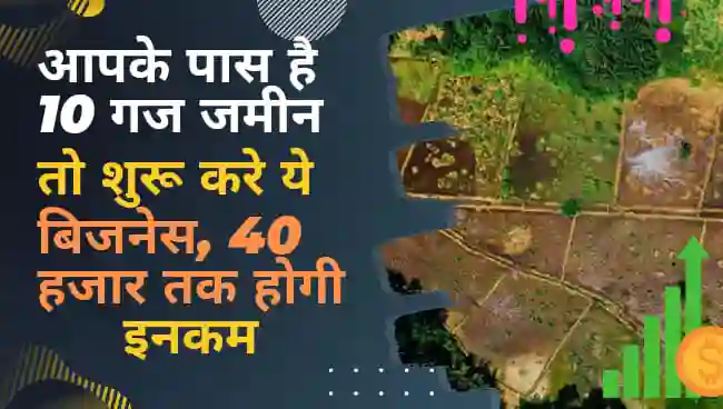 ‌आपके पास है 10 गज जमीन तो शुरू करें ये बिजनेस, 40 हजार तक होगी इनकम?